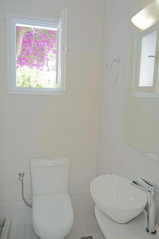 Klironomos Apartments Logaras Dış mekan fotoğraf