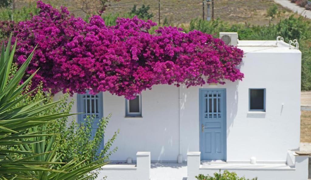 Klironomos Apartments Logaras Dış mekan fotoğraf