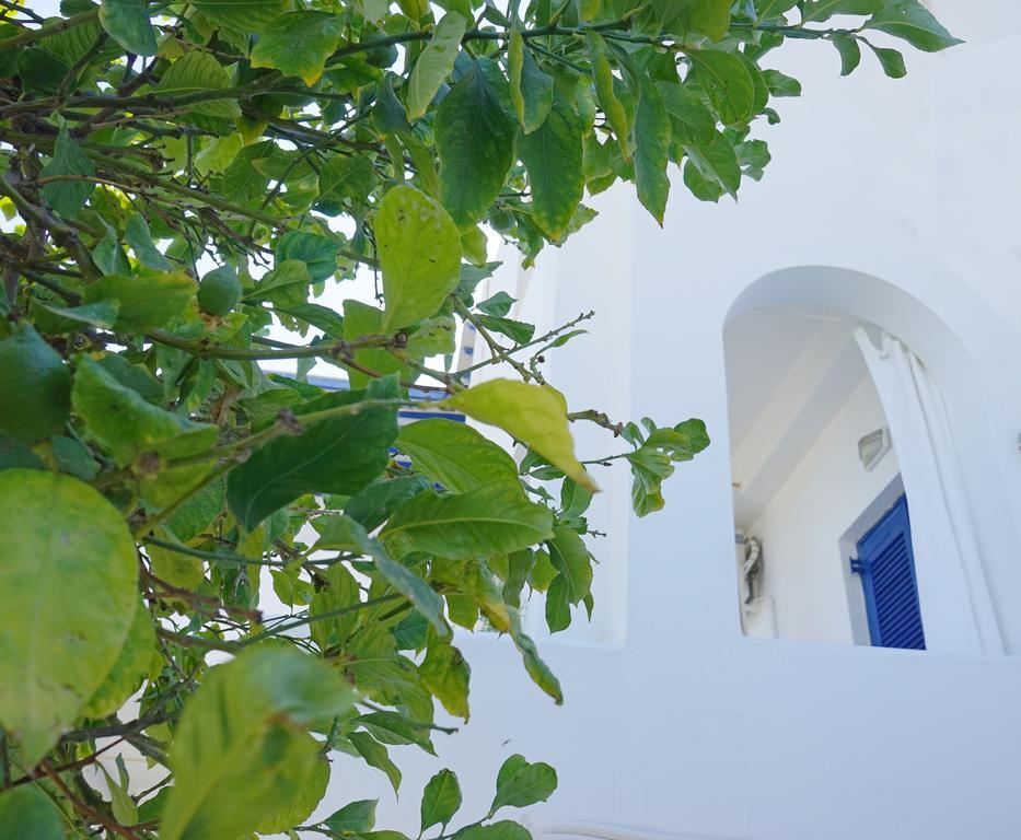 Klironomos Apartments Logaras Dış mekan fotoğraf