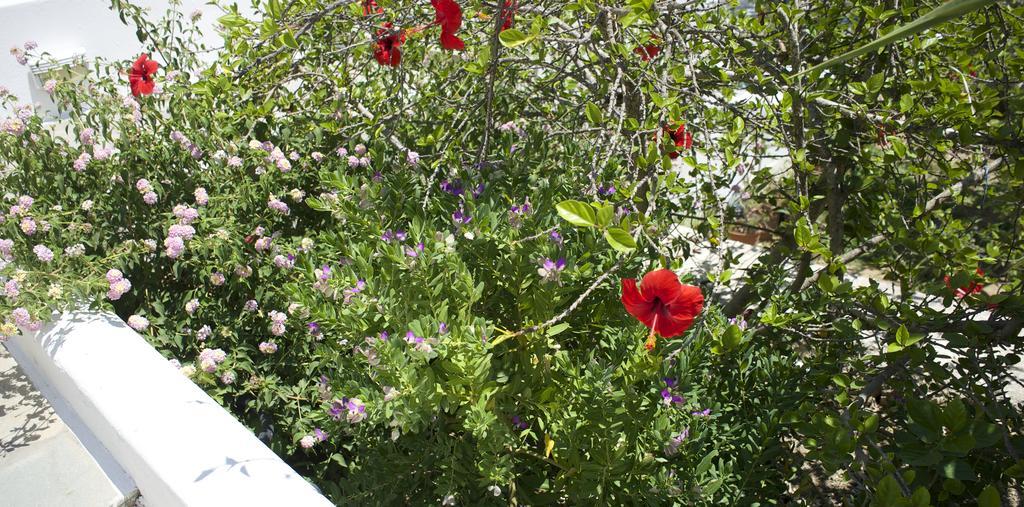 Klironomos Apartments Logaras Dış mekan fotoğraf