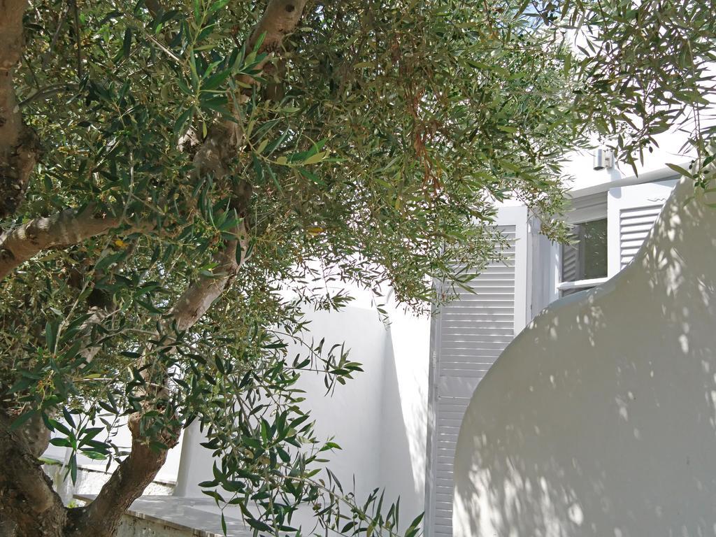 Klironomos Apartments Logaras Dış mekan fotoğraf
