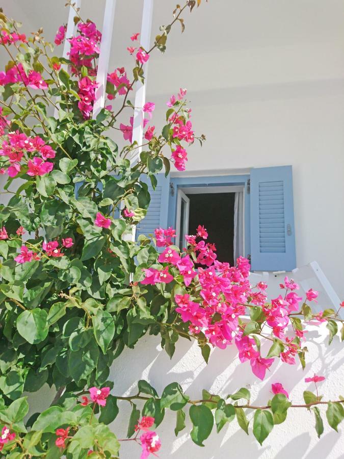 Klironomos Apartments Logaras Dış mekan fotoğraf